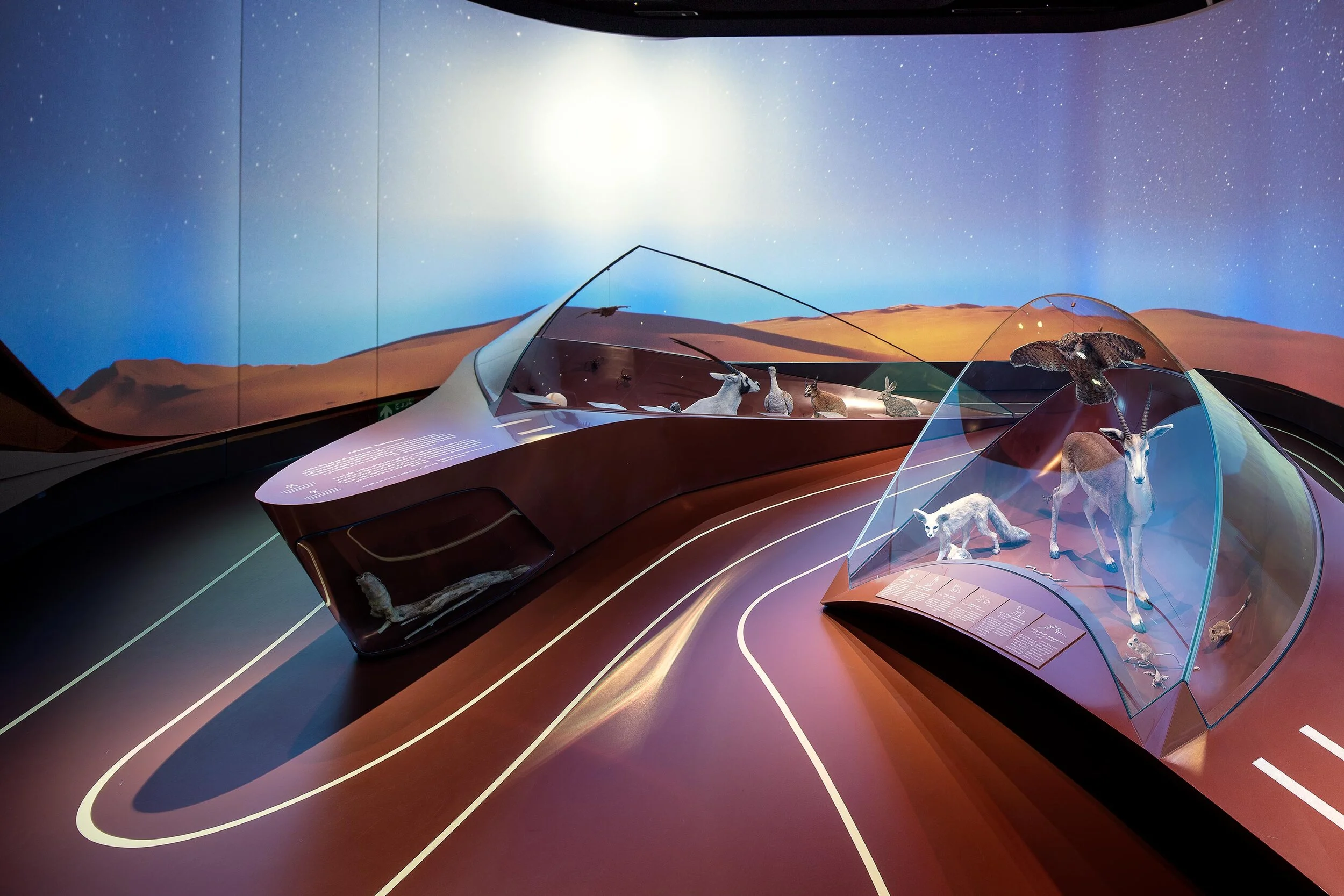 Gallery 4 Saudi Arabia — Daniel Stauch