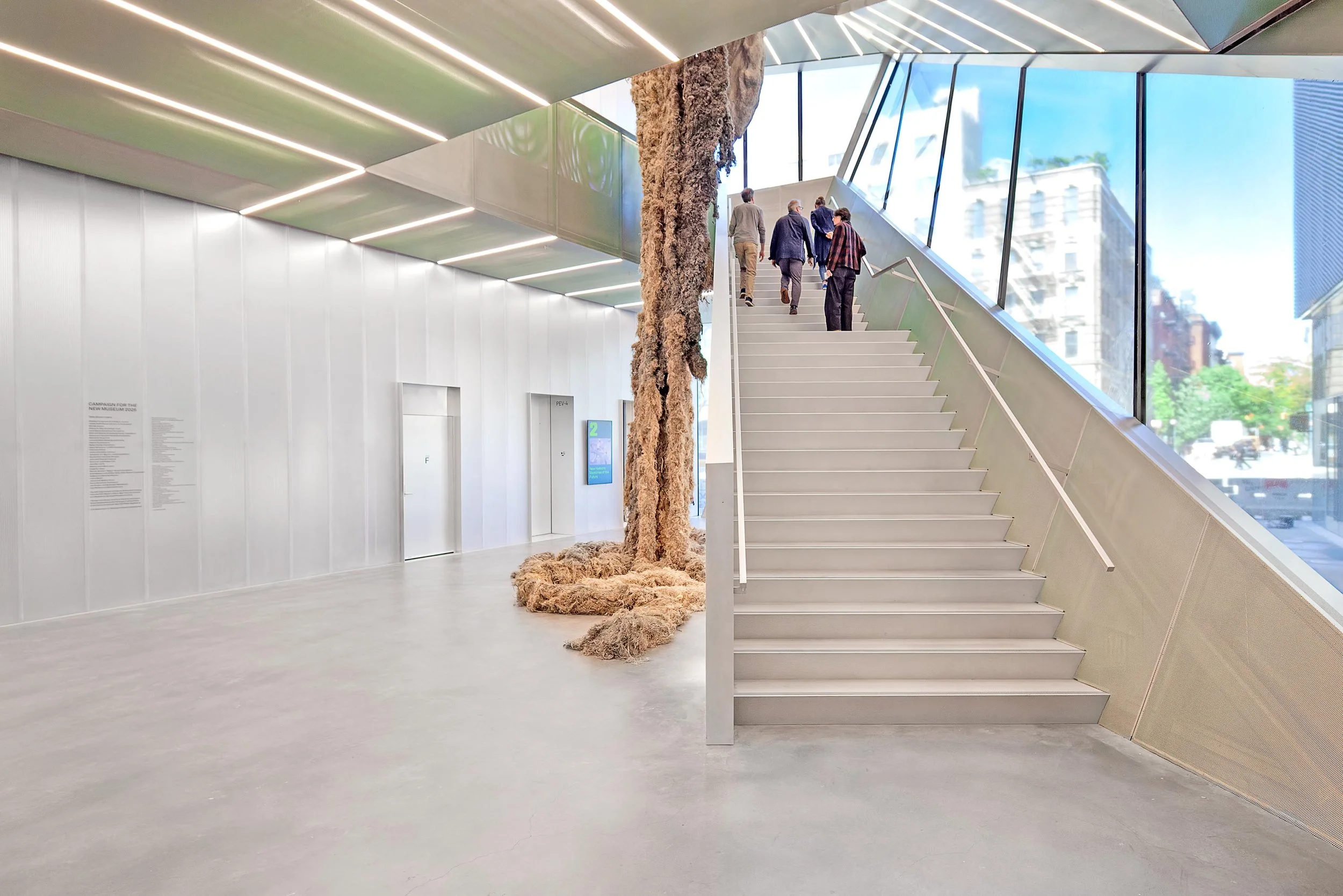 New Museum — Daniel Stauch