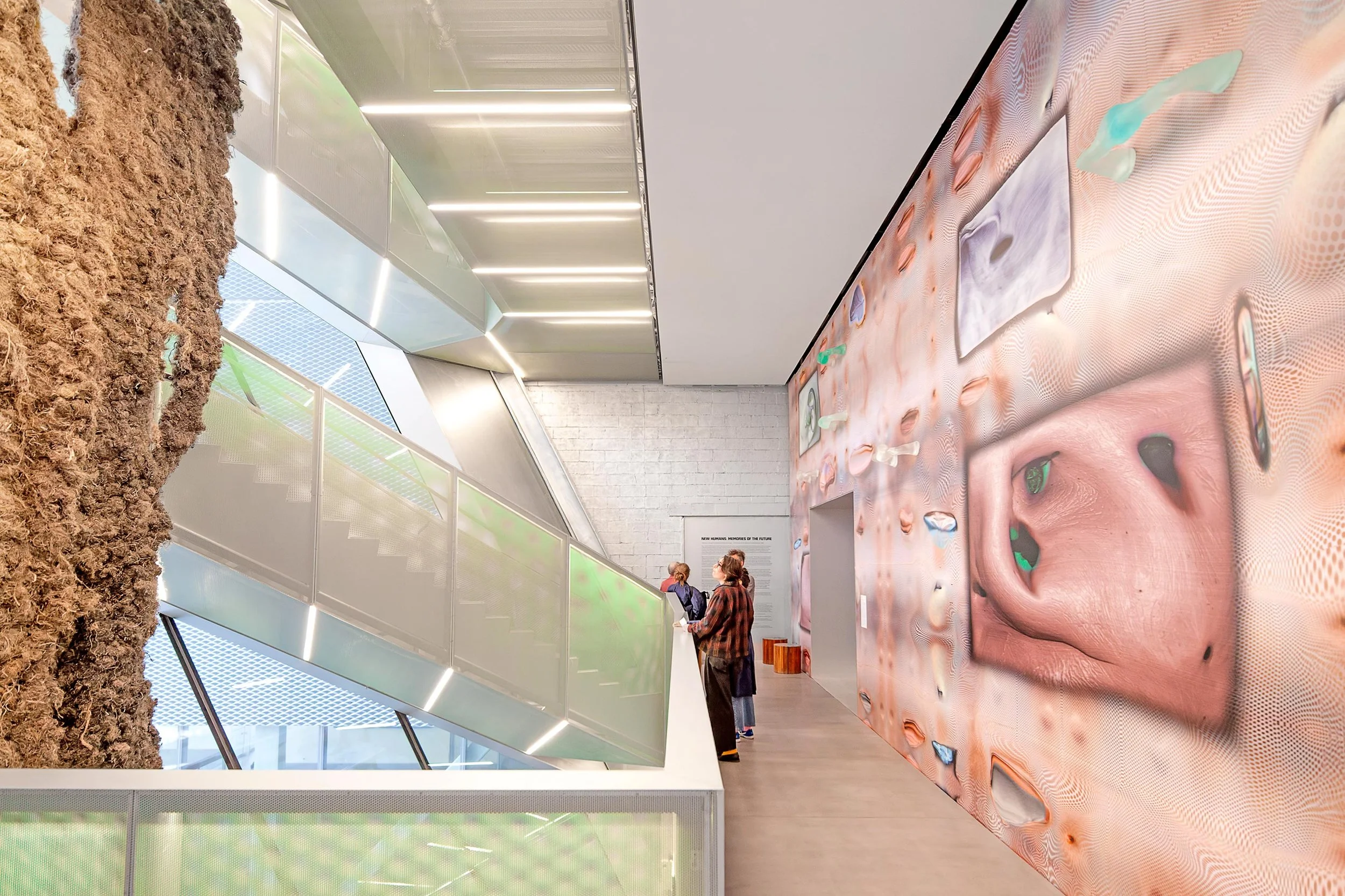 New Museum — Daniel Stauch