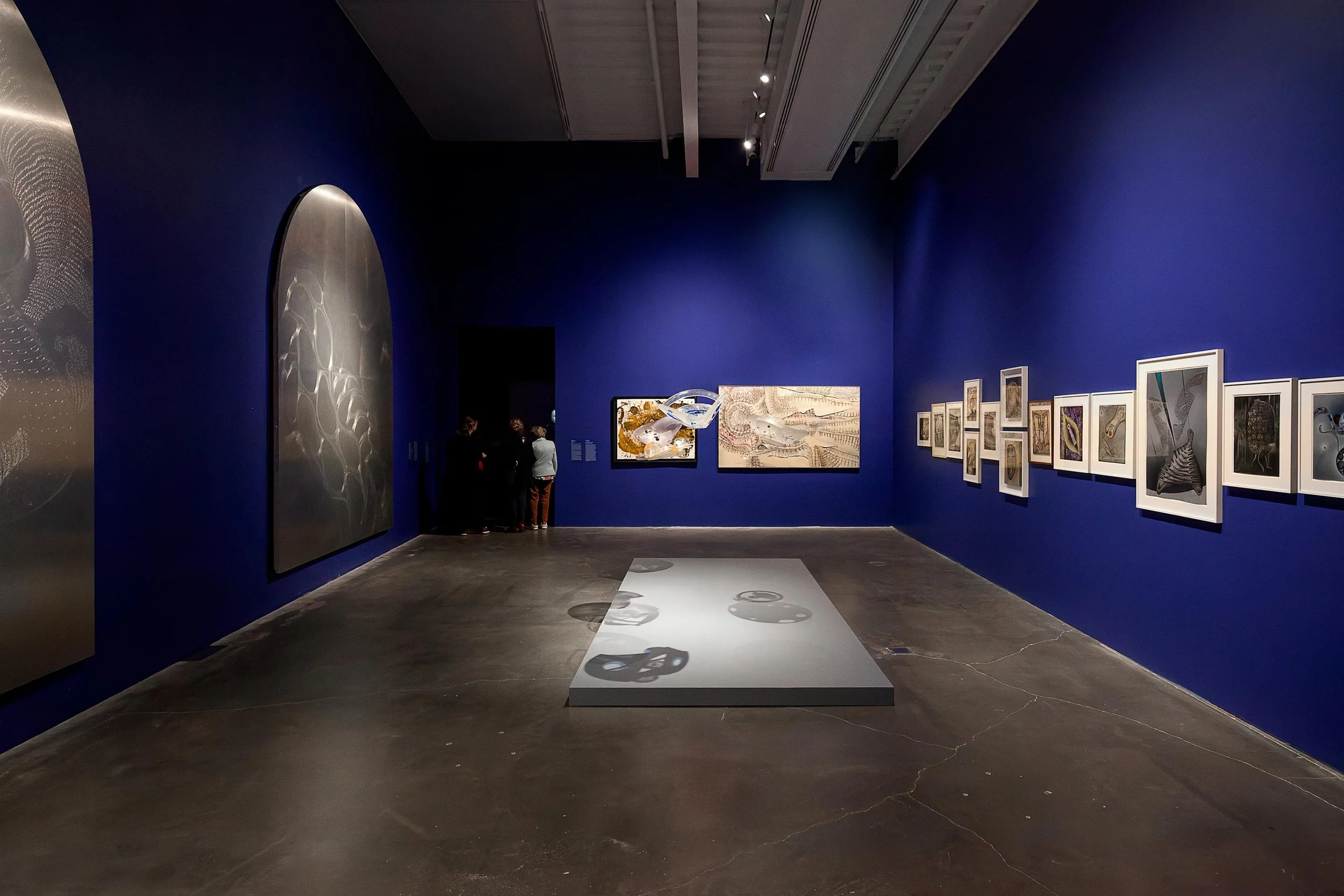 New Museum — Daniel Stauch