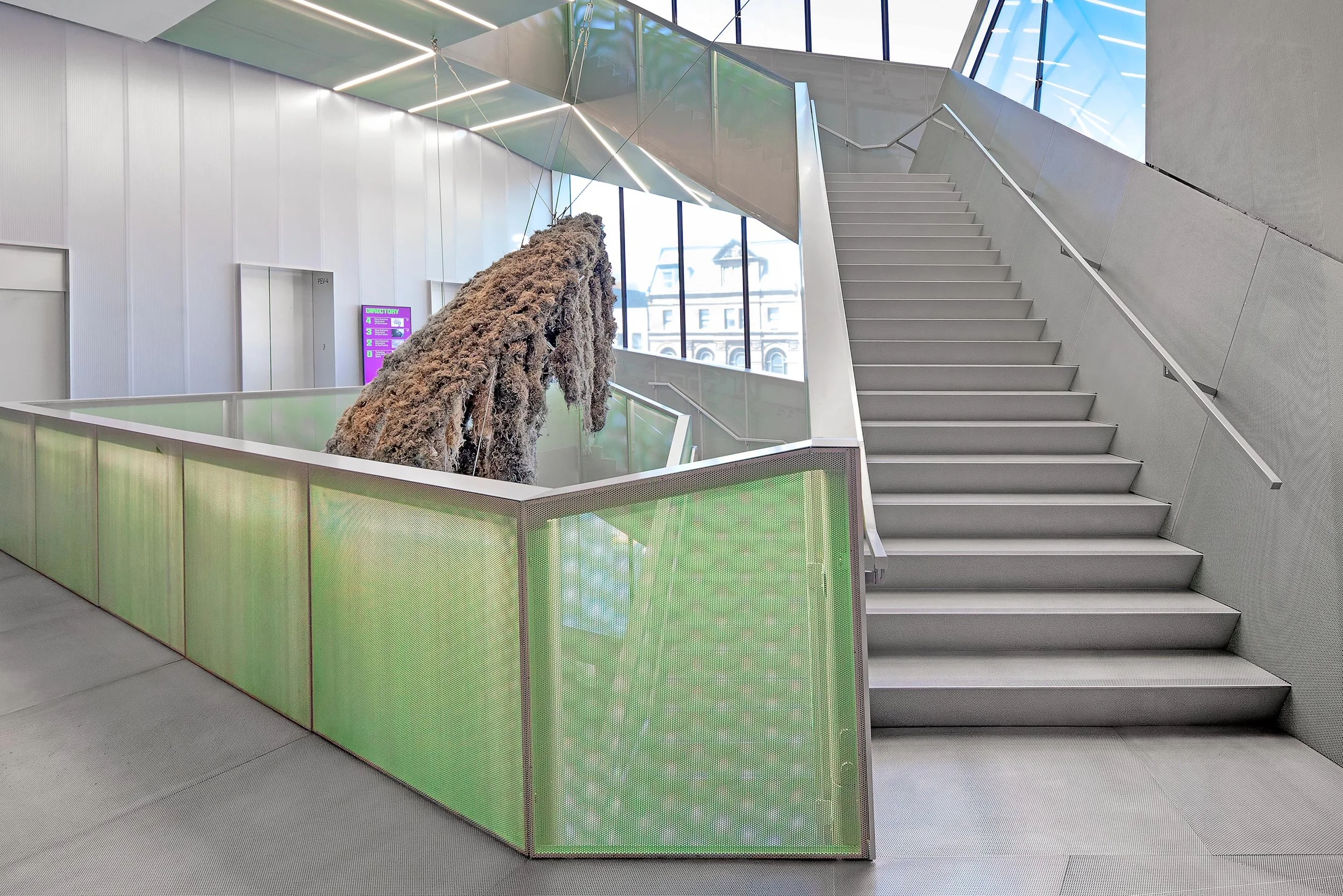 New Museum — Daniel Stauch