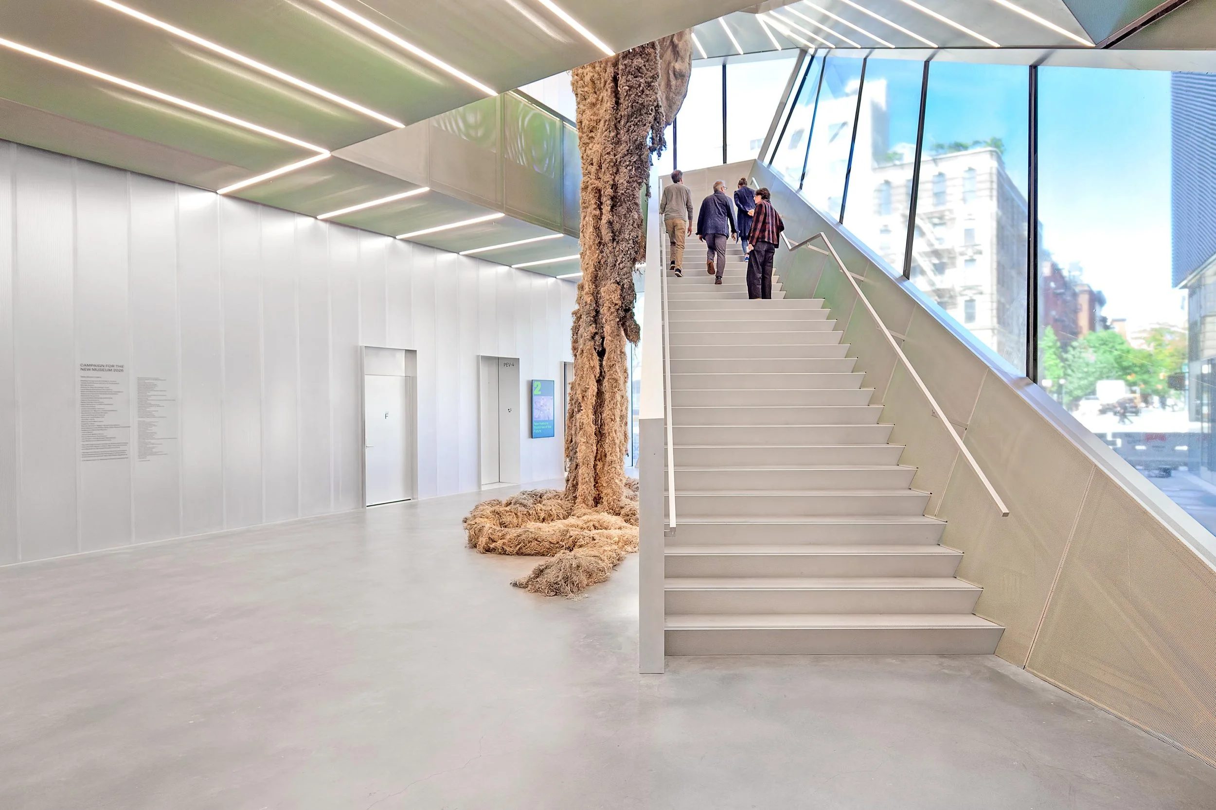 New Museum — Daniel Stauch